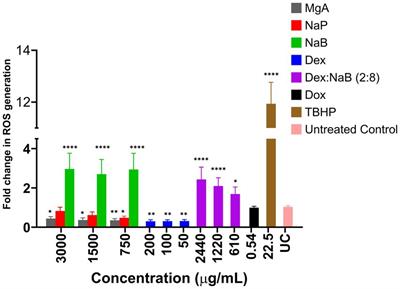 The postbiotic sodium butyrate synergizes the antiproliferative effects of dexamethasone against the AGS gastric adenocarcinoma cells